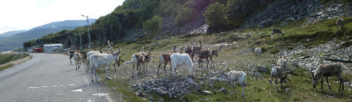 (c) 2012 Erwin Dworschak